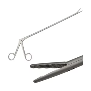 Pince de Circéron en Acier Inoxydable Réutilisable 280mm avec griffes