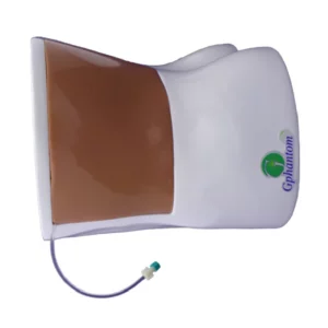 Simulateur d'entrainement de rein pour la formation médicale